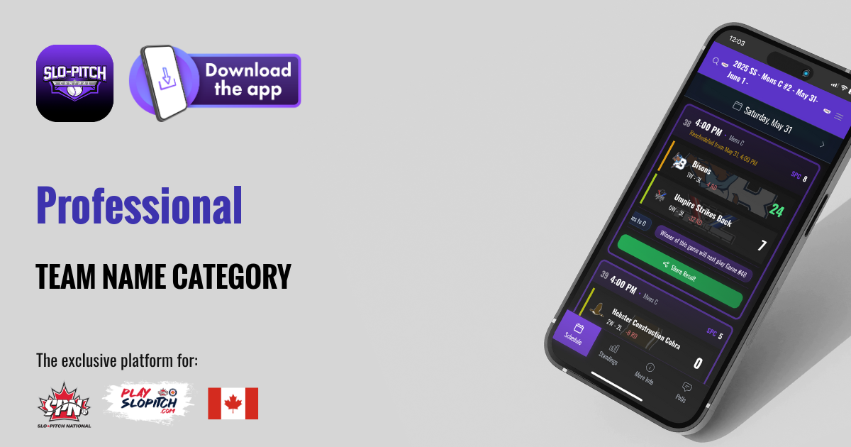 Professional team names category