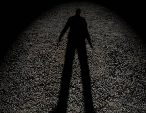 Shadowy category
